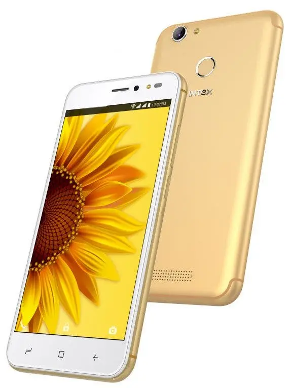 intex uday