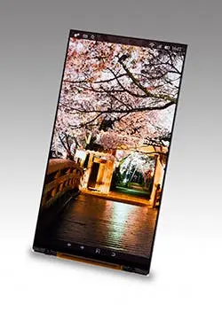 jdi 54 inch