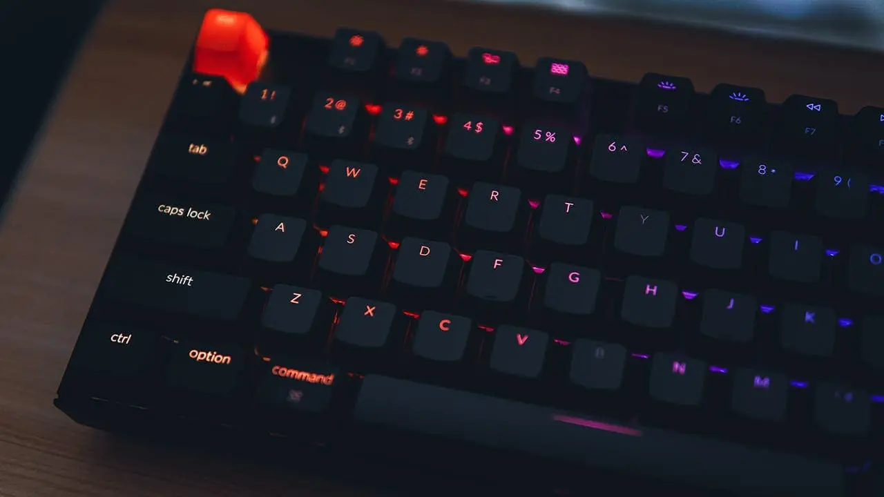 michelle ding 50ud7hzolw8 unsplash