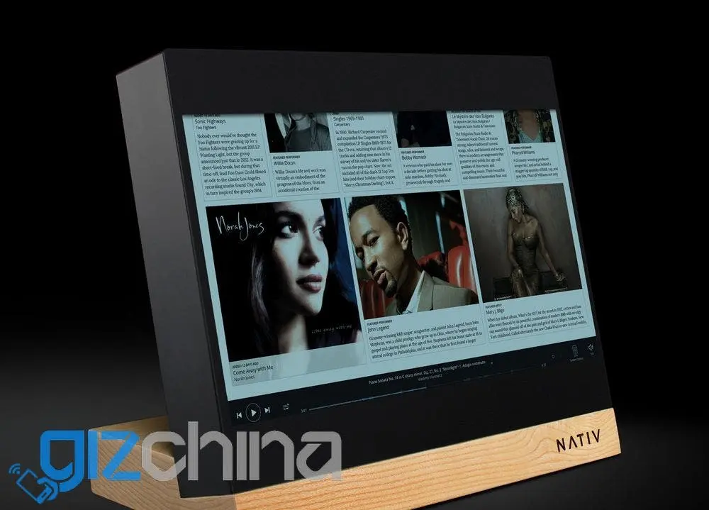 nativ vita high resolution music player roon result