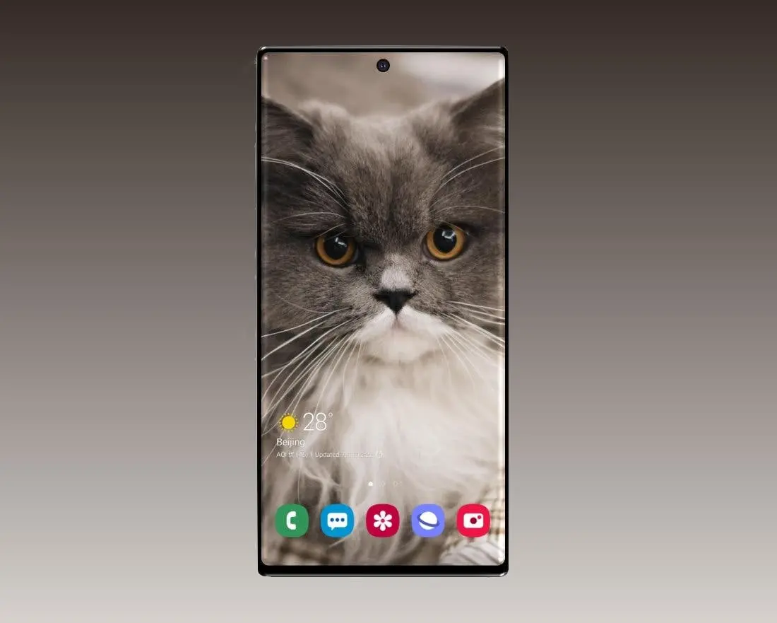note20s