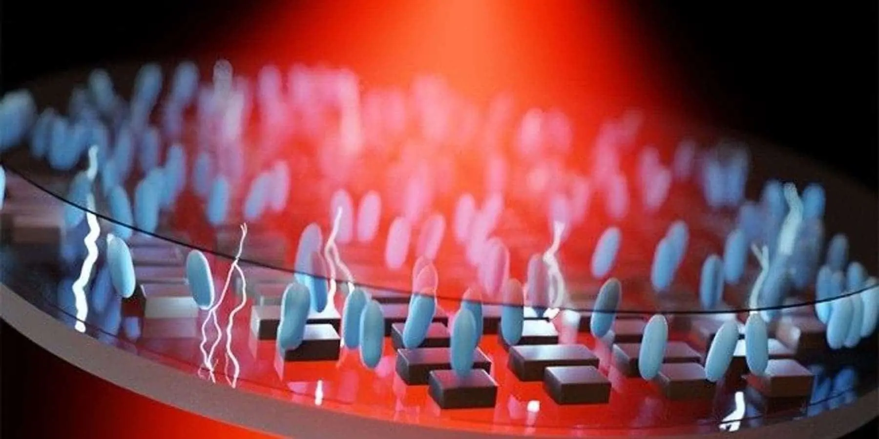 novel liquid crystal metalens offers electric zoom x