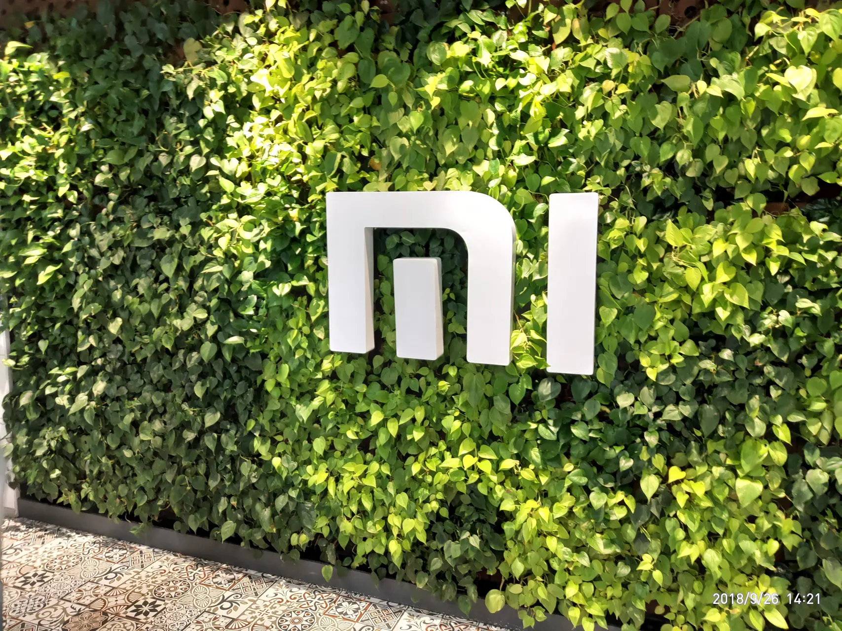 p80926 142140 1
