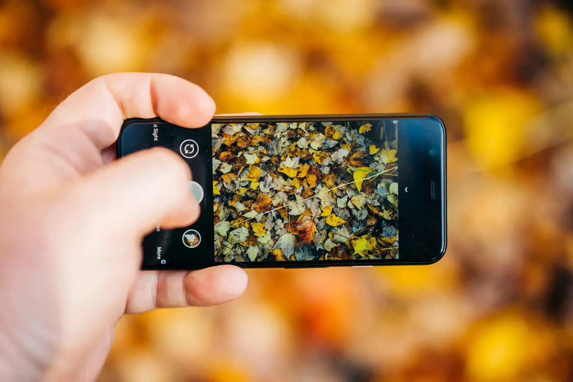 pixel 8 photos