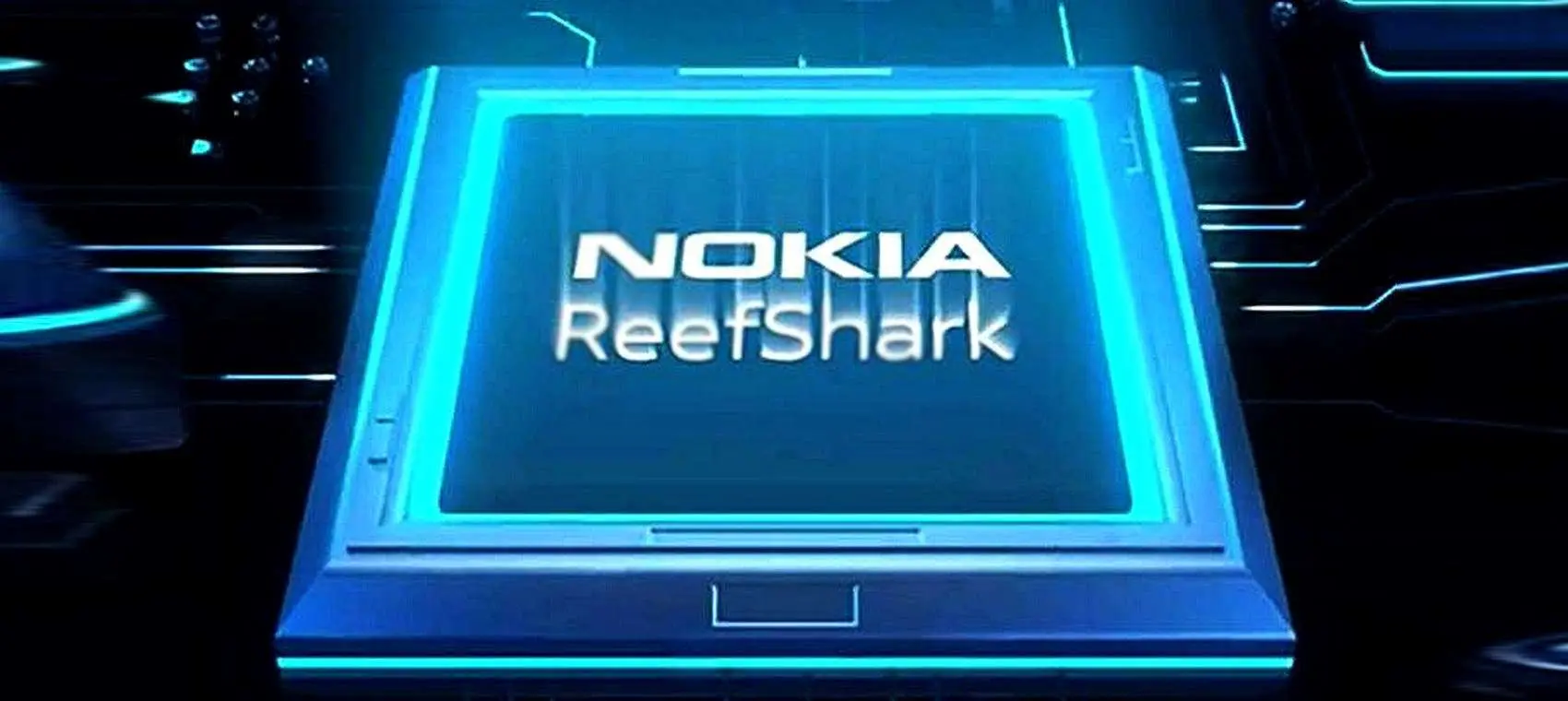 reefshark