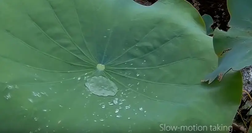 screenshot2 1