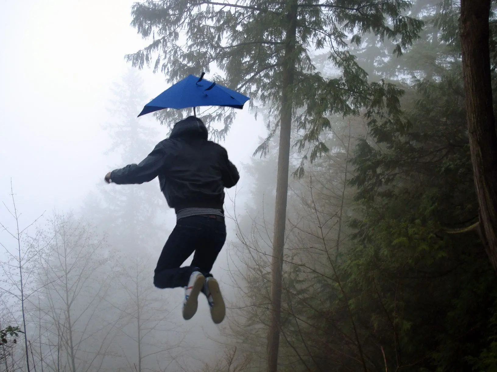 senz xl storm umbrella02