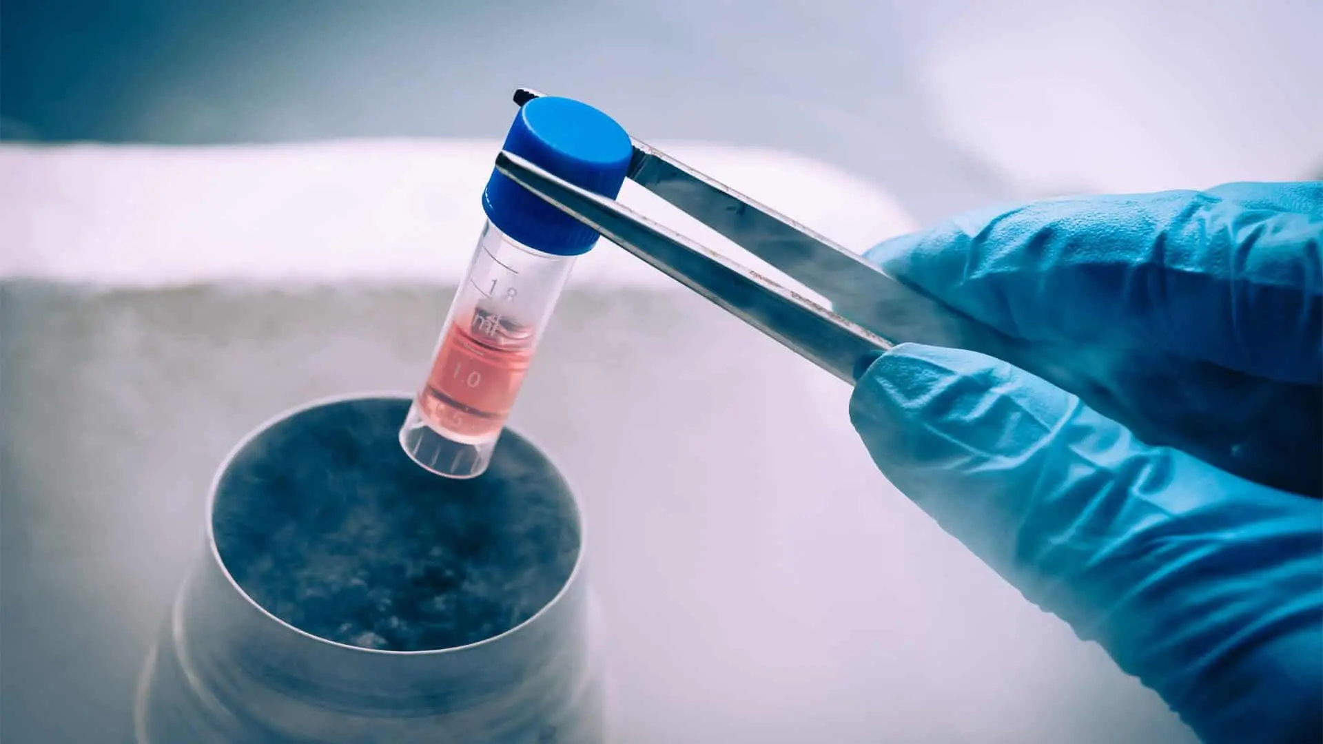 stem cell banking2