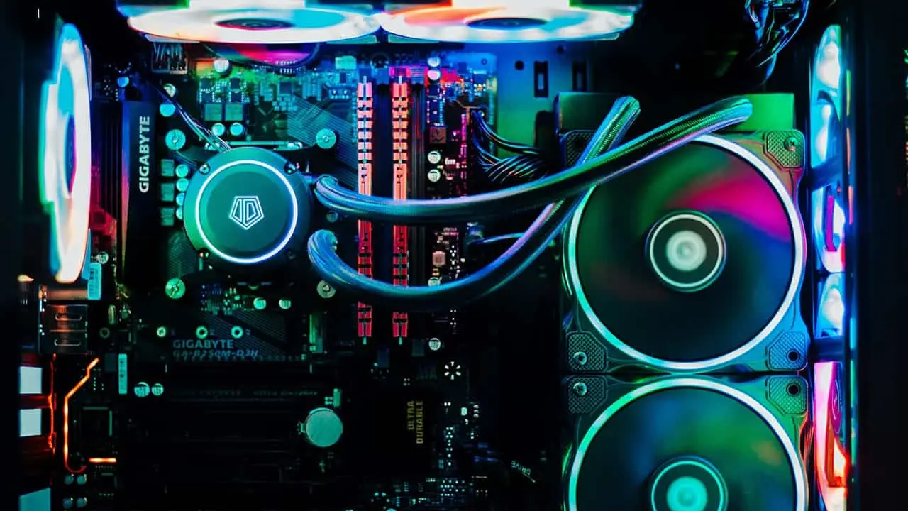 tai bui q xgz9novoe unsplash