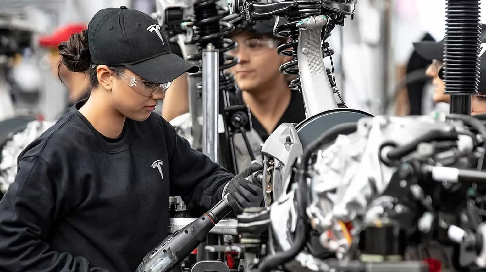 tesla employees program