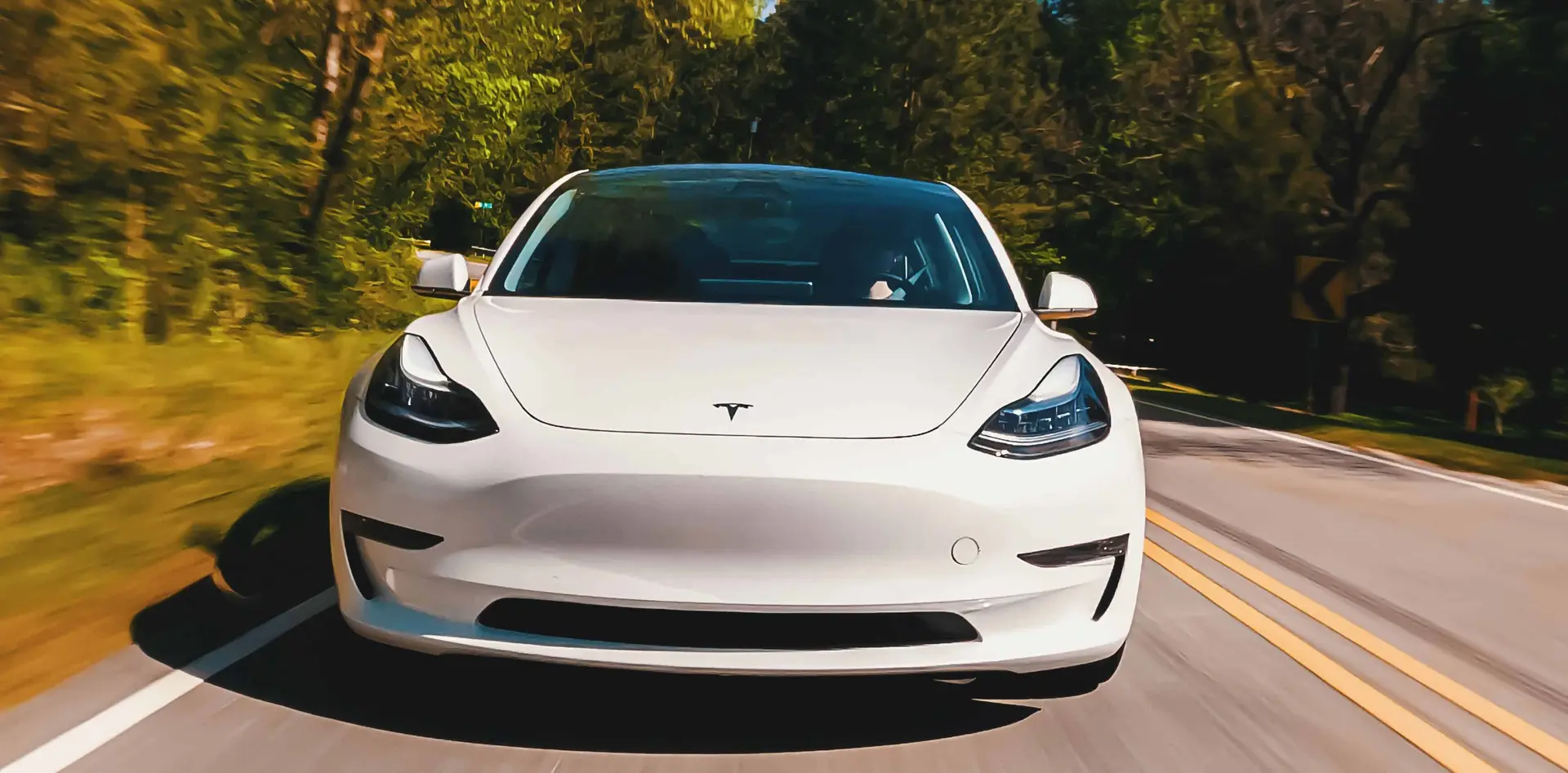 tesla fsd2