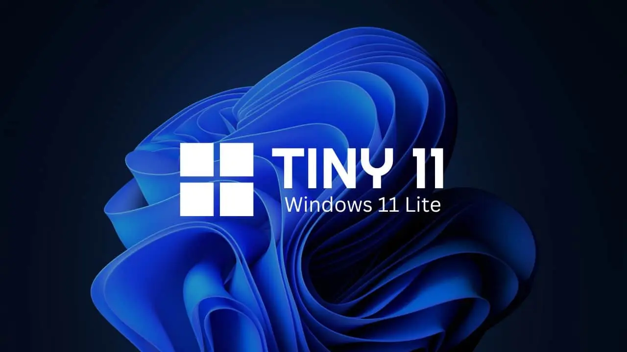 tiny11 ftr