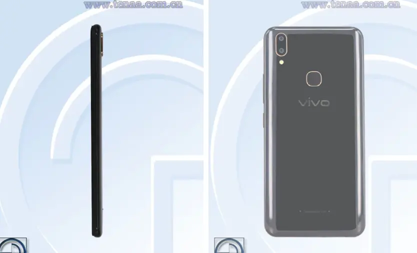 vivo