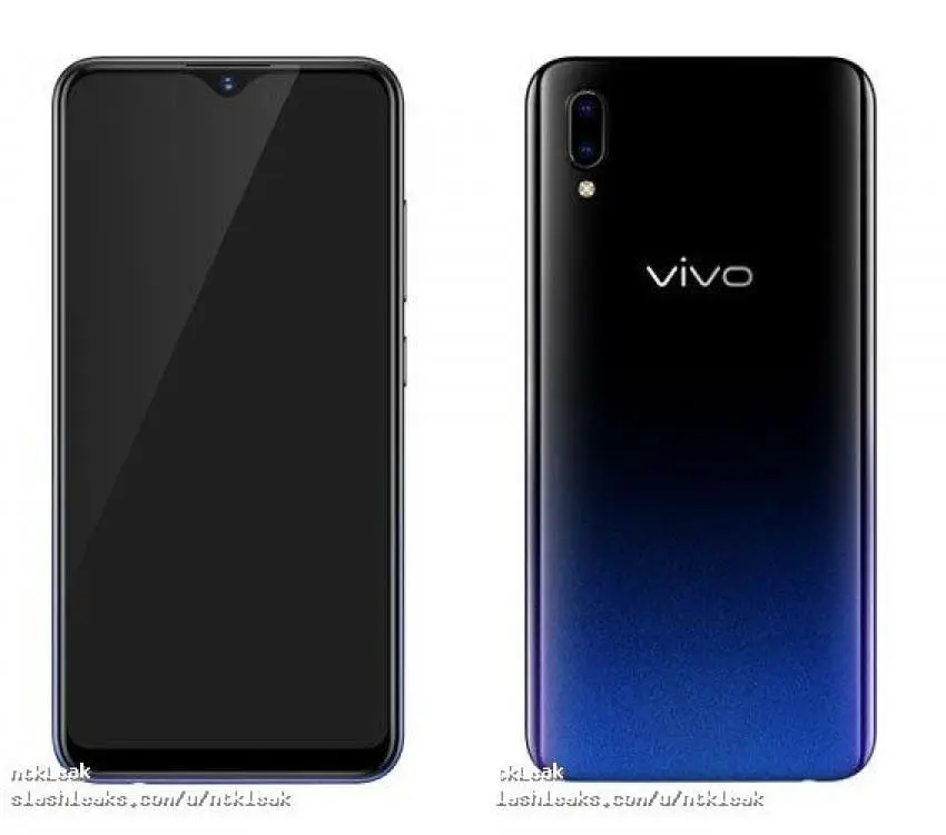 vivo