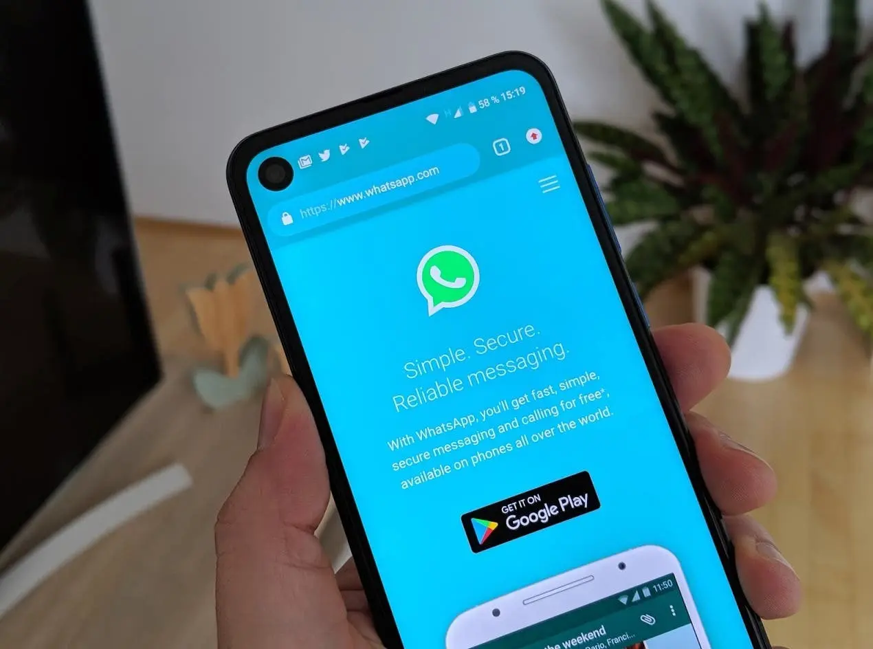 whatsapp header 1