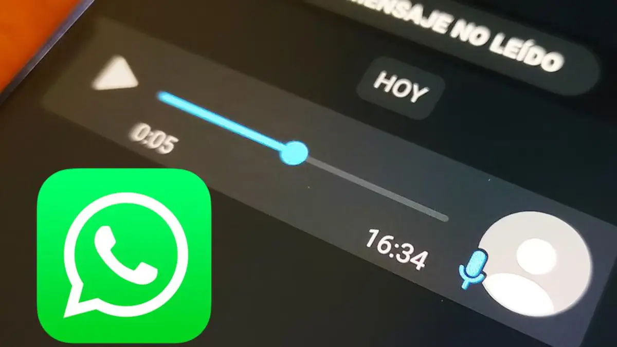 whatsapp transcripts ftr1