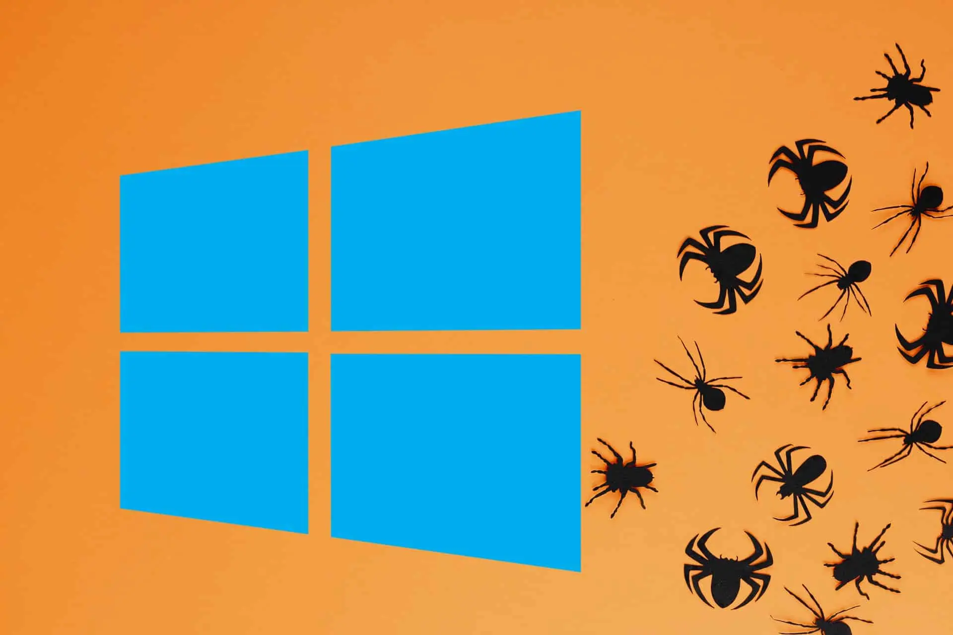 windows