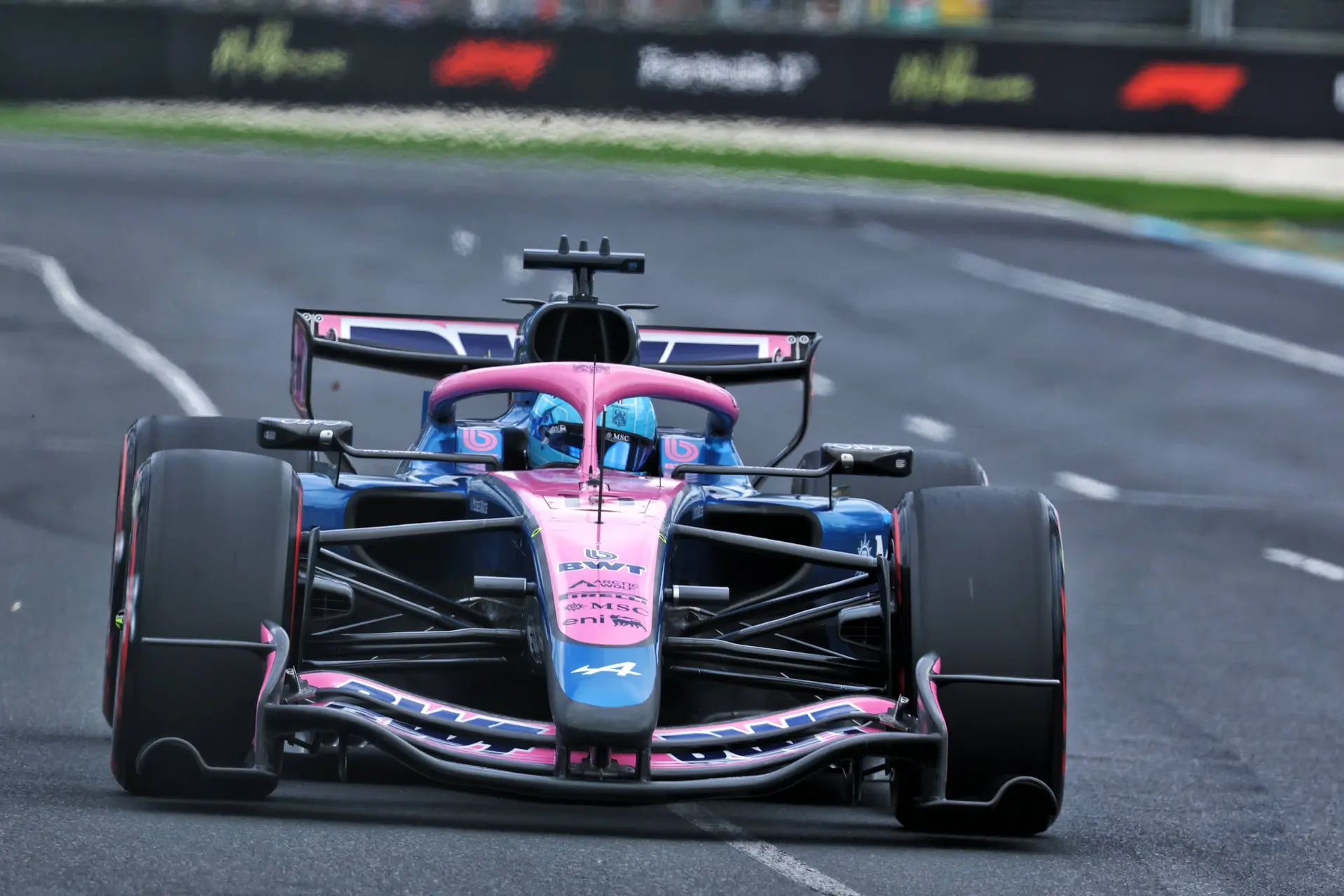 gasly