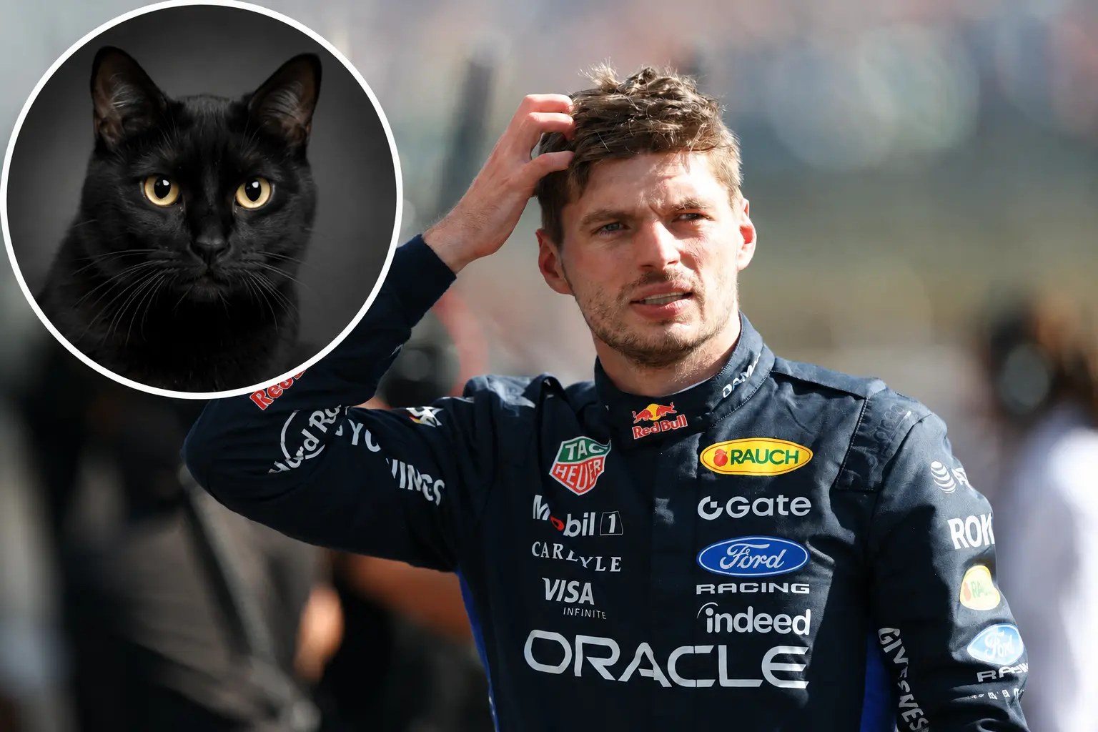 max-verstappen-zwarte-cat-quote