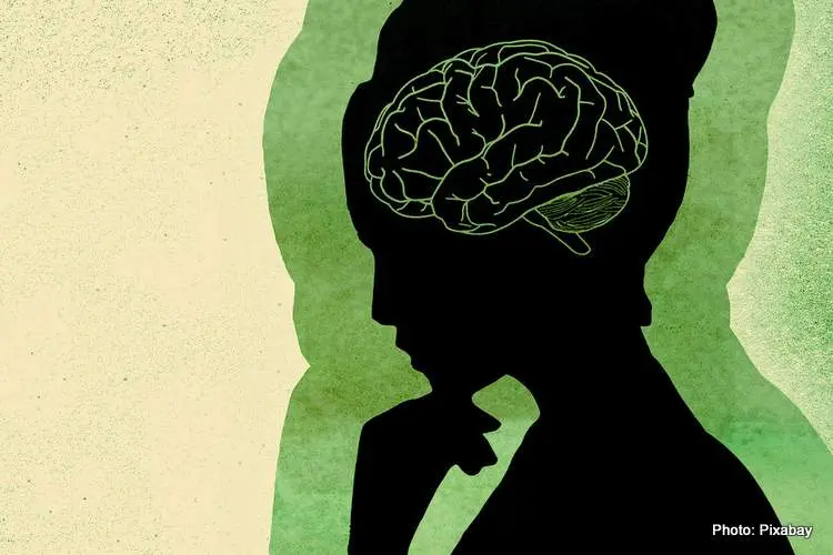 brain 5868033 1920 001