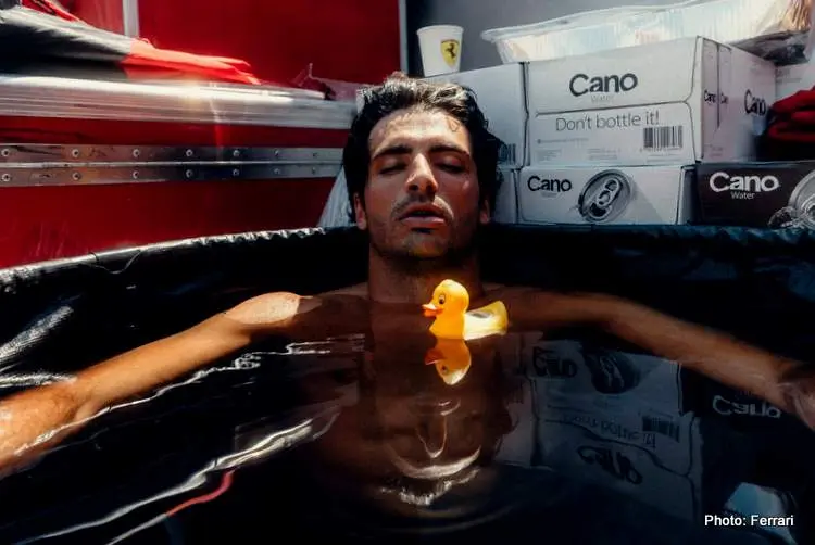 carlos sainz duck