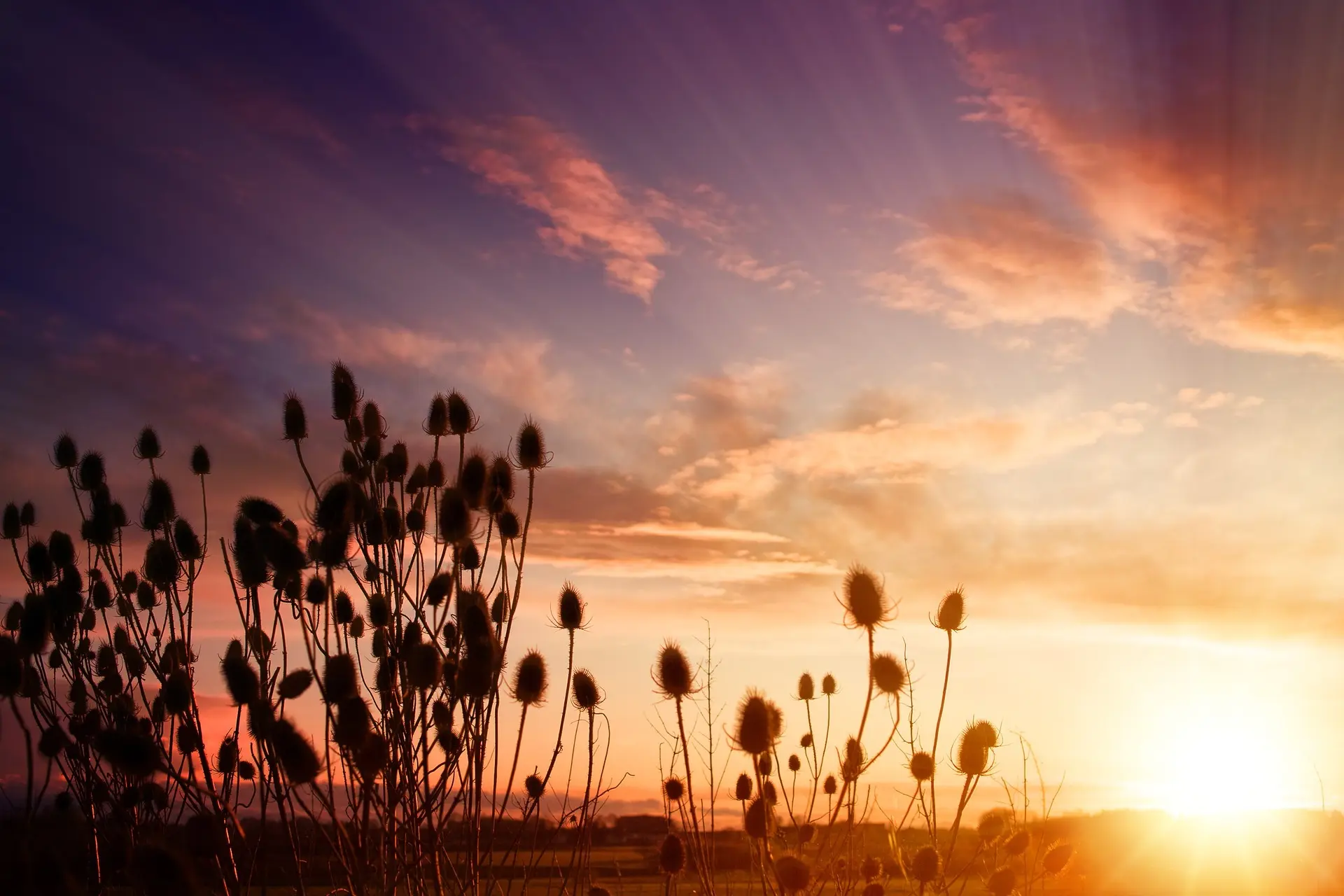 sunset g3225b73e0_1920