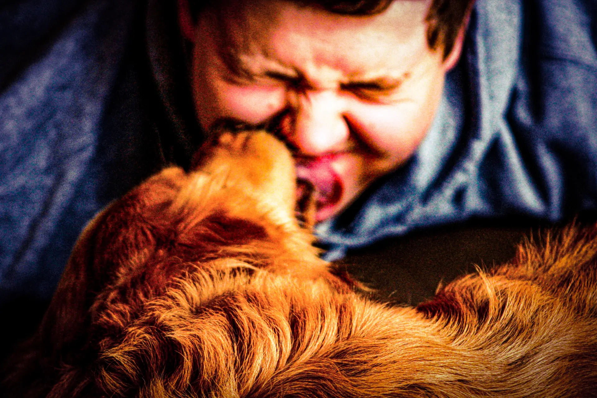 ashley levinson 0lvg1tk2wlw unsplash