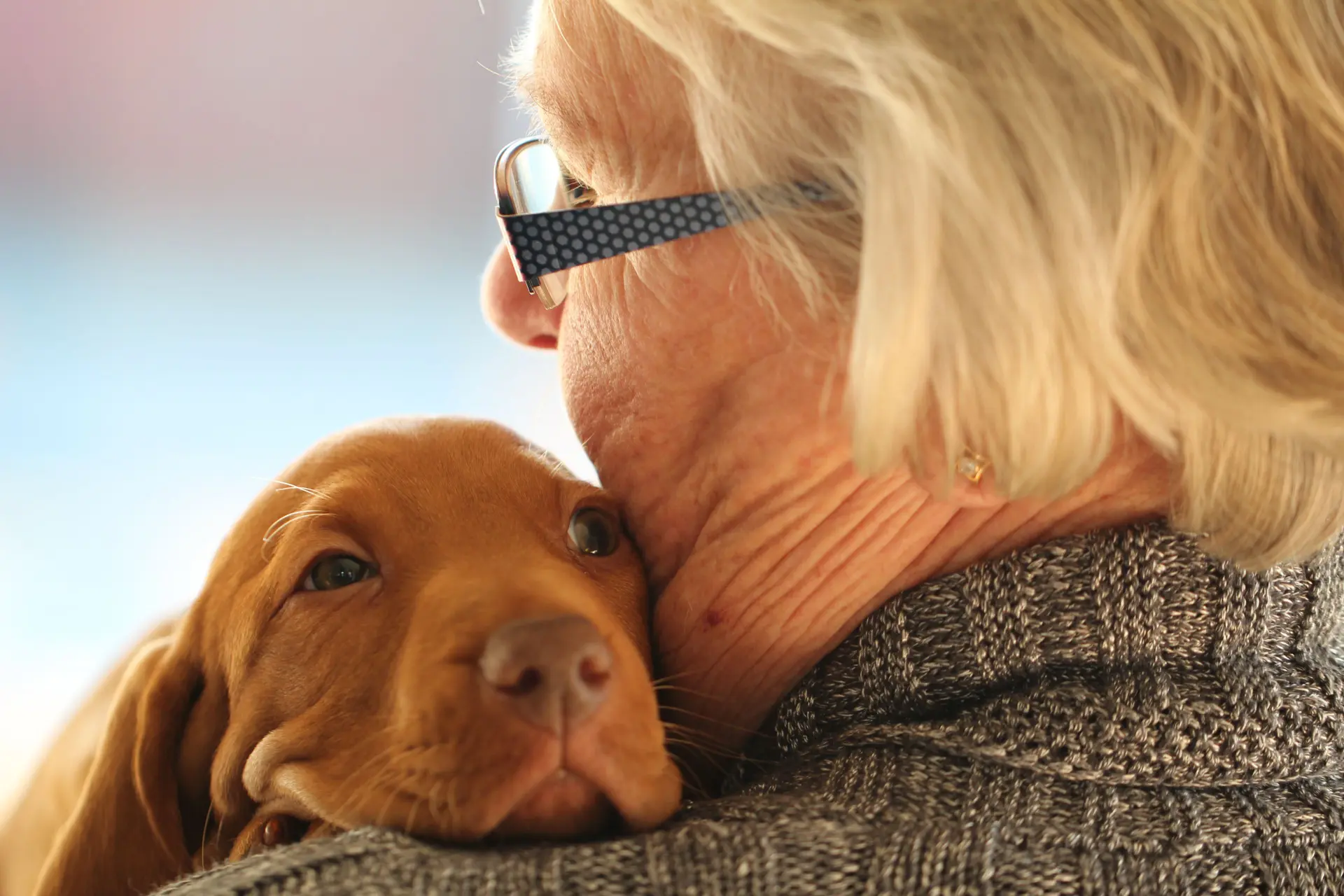 woman old puppy dog cute love 1176463 pxherecom