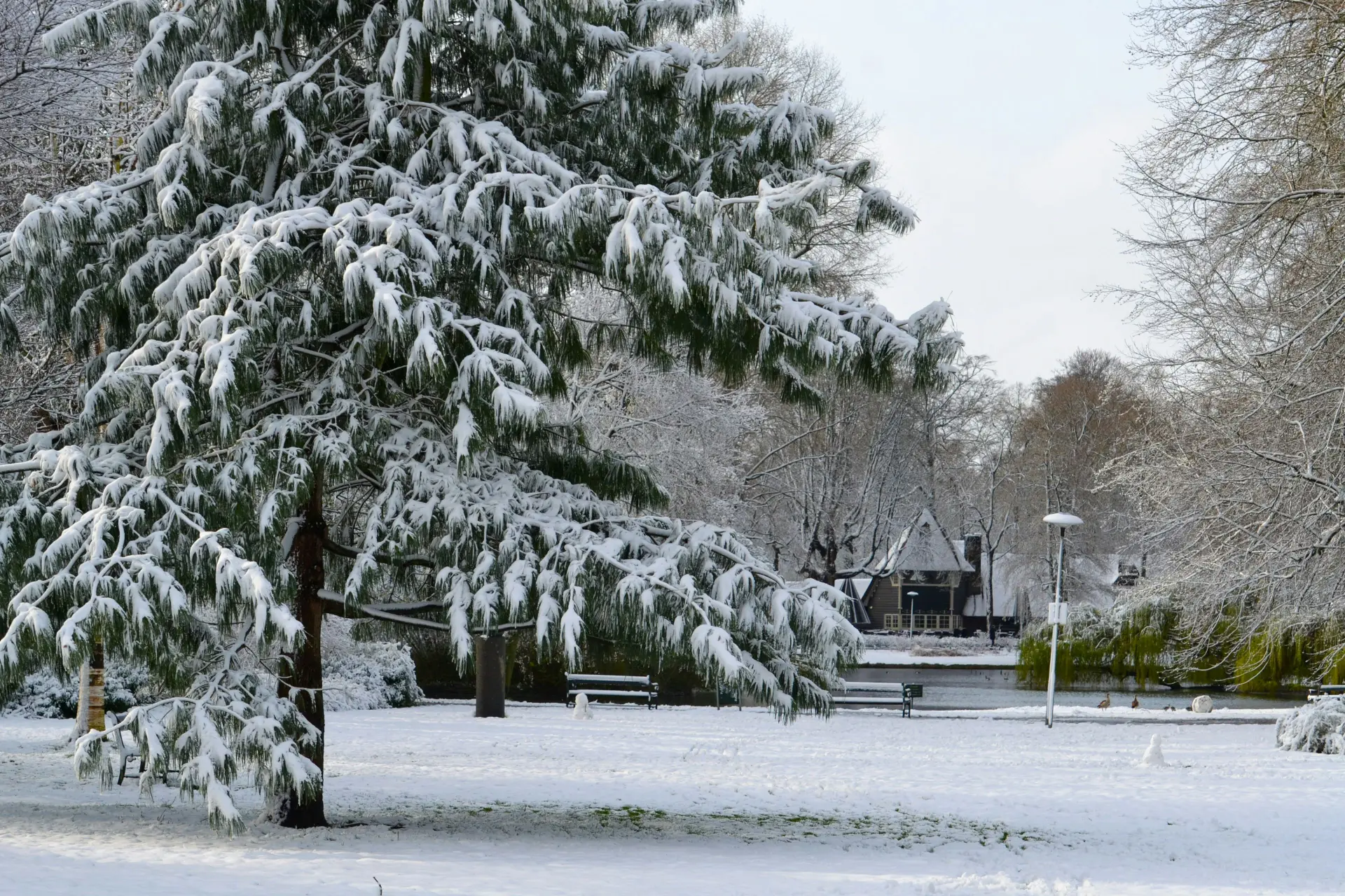 sneeuw8384