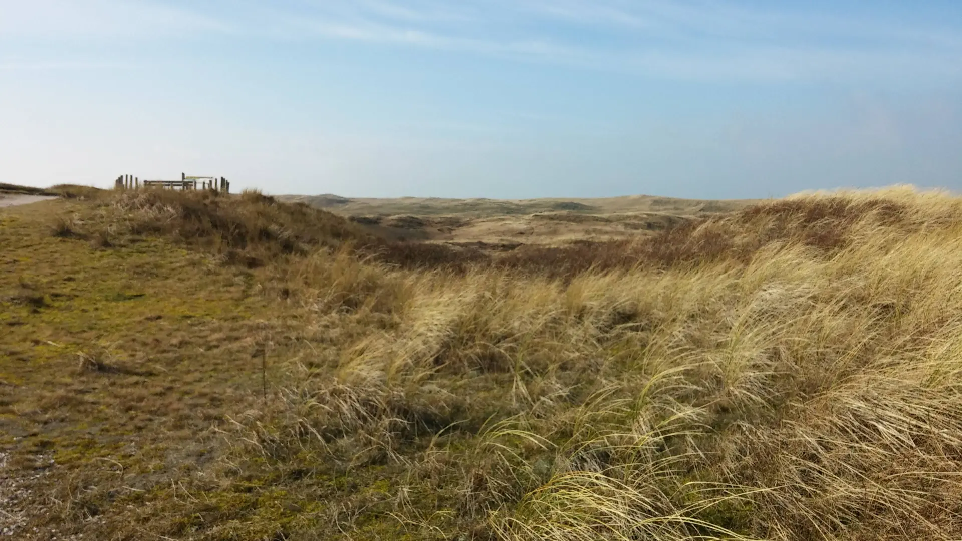 duinen