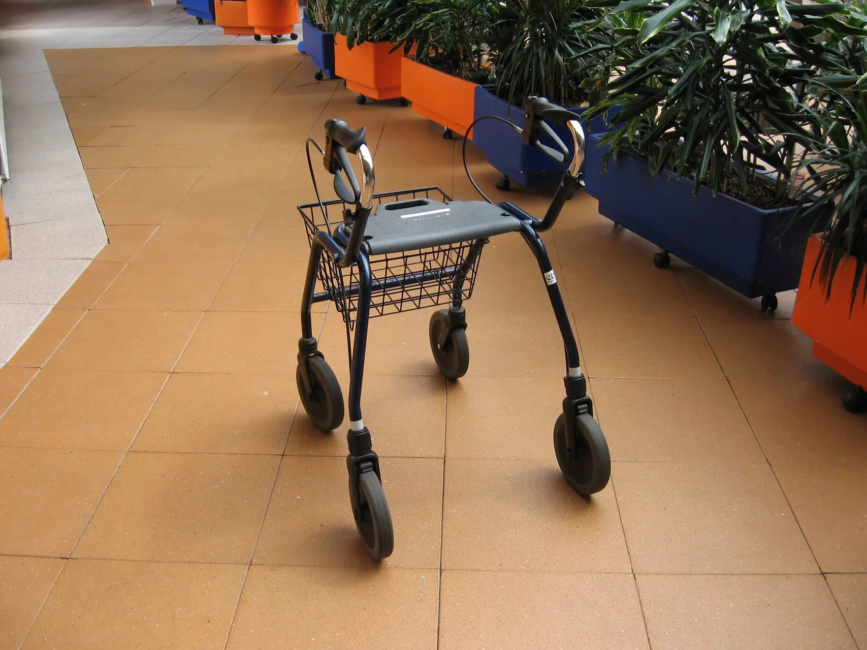 Rollator,_to_help_with_walking