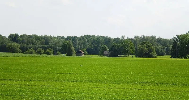 Kėboniai