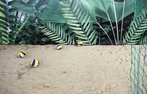 "Rio" arena