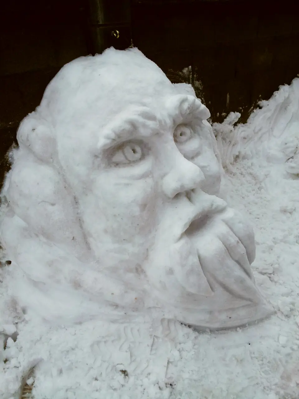 Sniego seniai, 2013-ieji