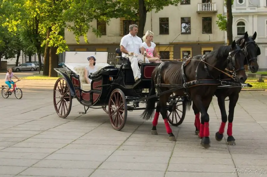 Pasivažinėjimas karieta Laisvės alėjoje