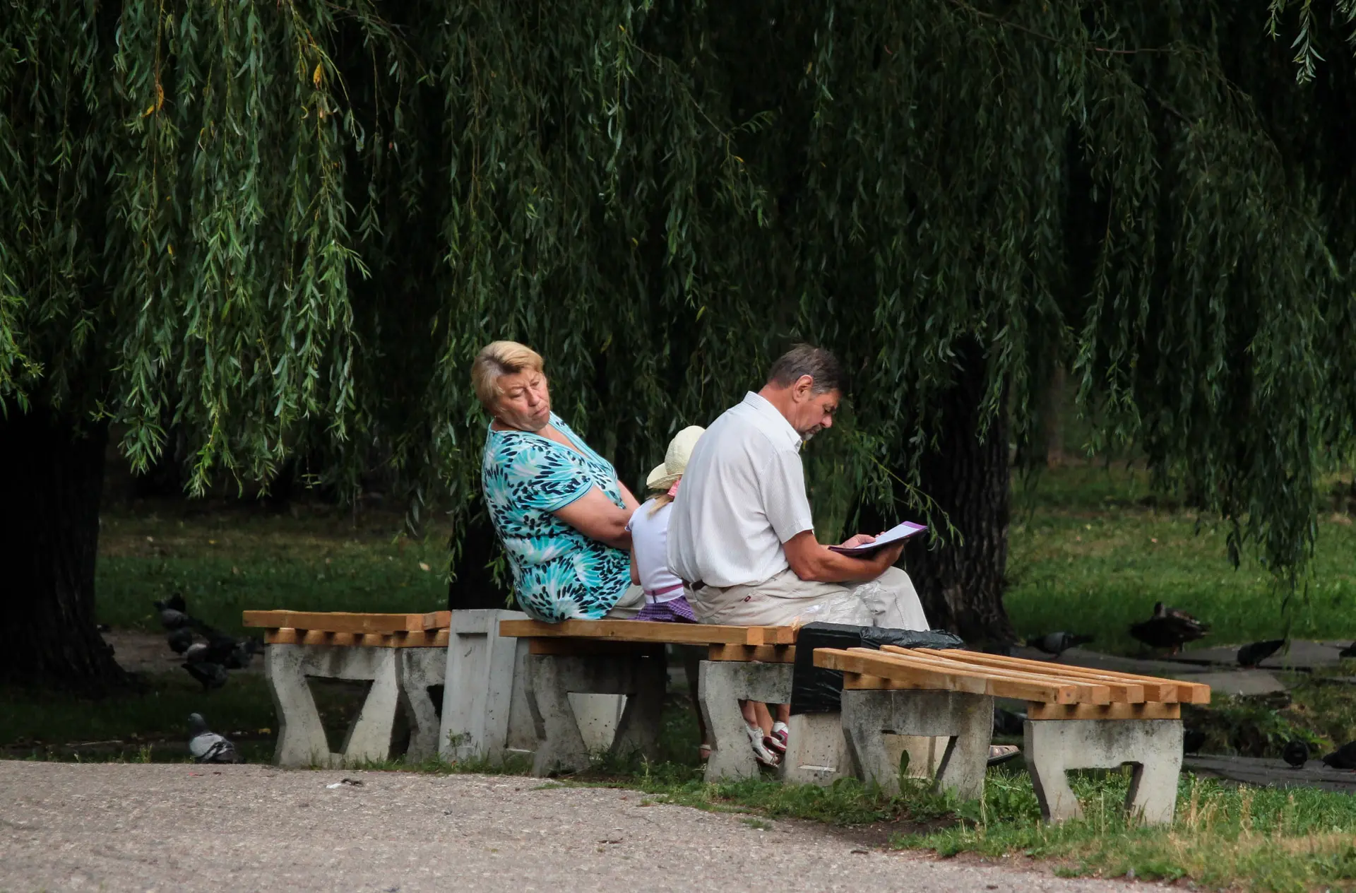 Kalniečių parkas ir Čečėnijos aikštė