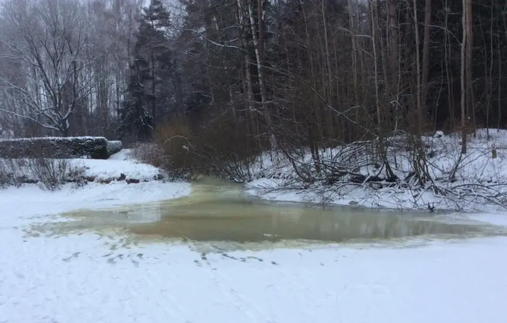 Nuotekos Šveicarijoje esančiame tvenkinyje