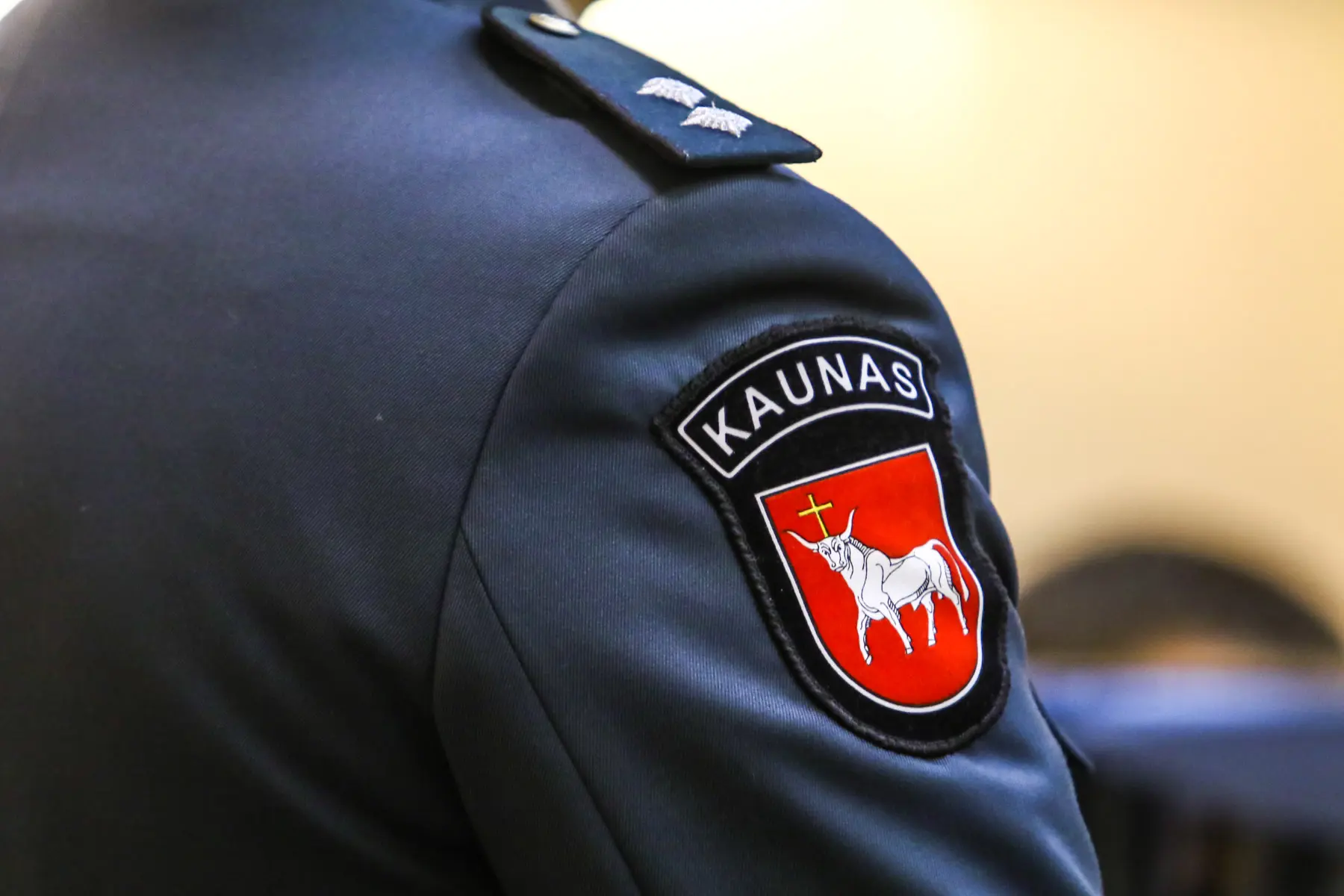 Metinė Kauno policijos ataskaita
