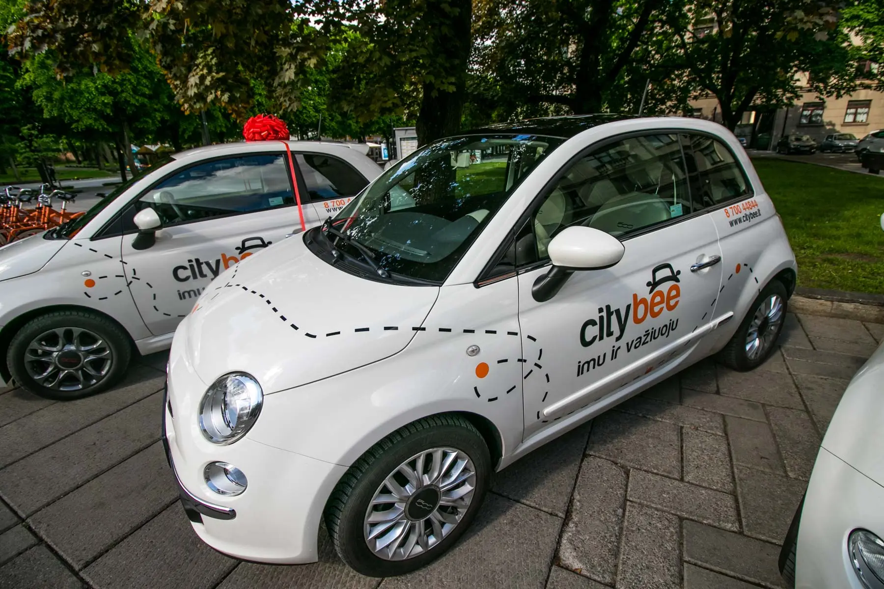 CITY BEE