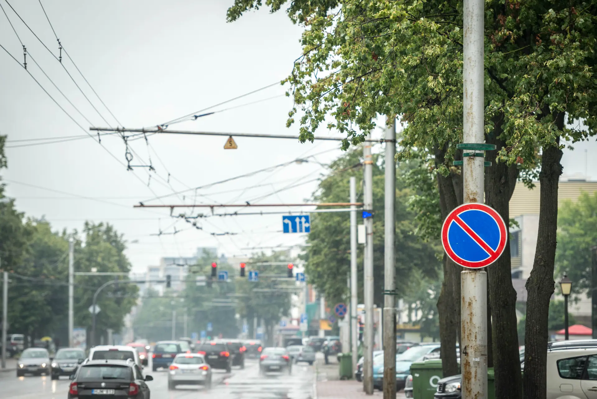 Liepos Savanorių prospekte