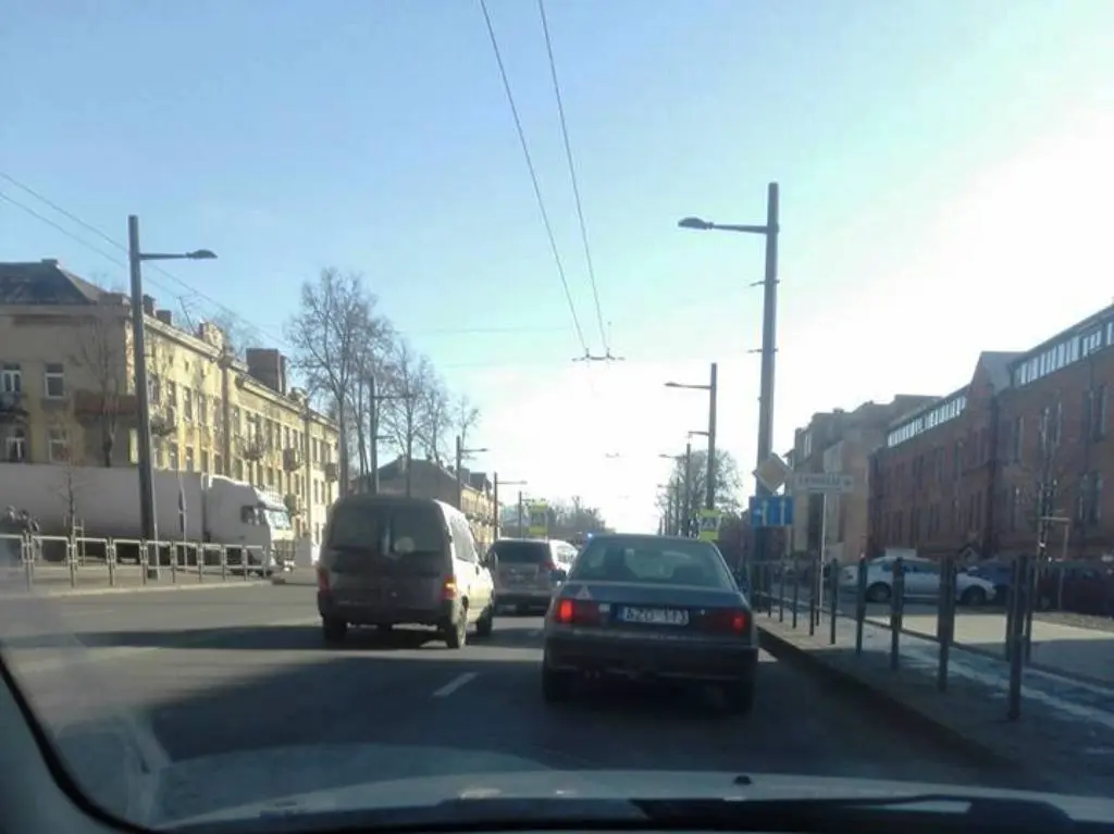 Partrenkti pėstieji