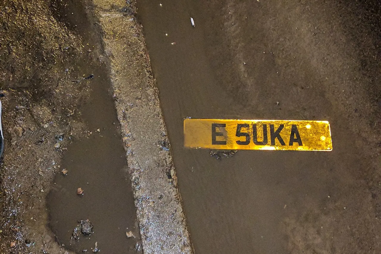 E SUKA valstybiniai numeriai