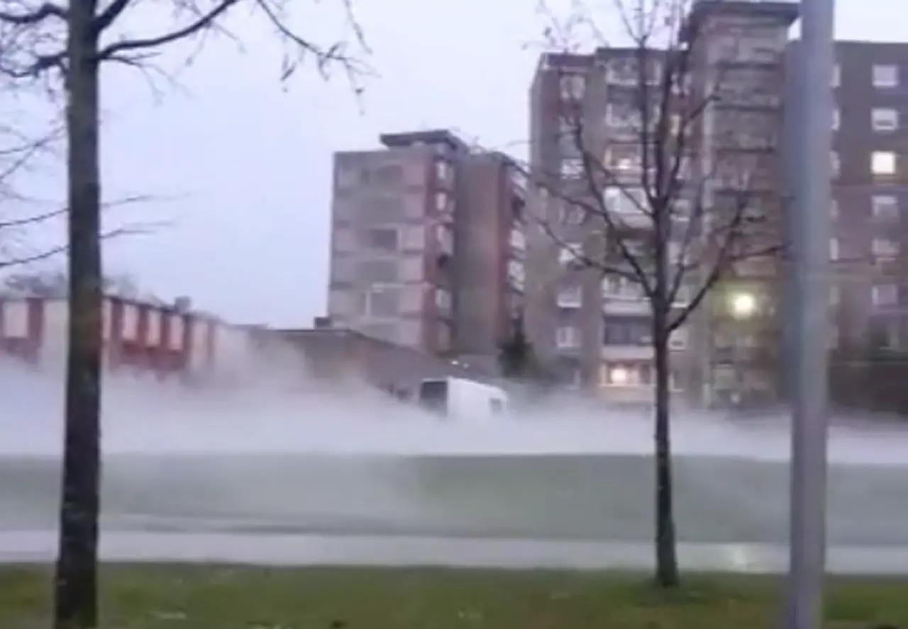 Vaizdelis Šilainiuose