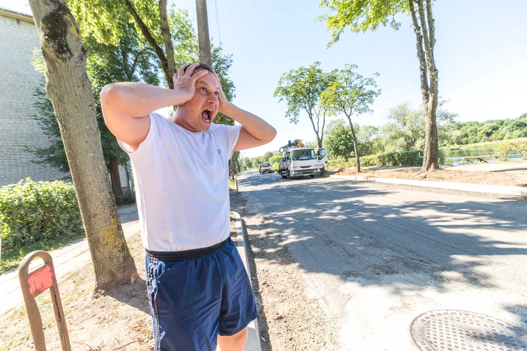 A. Smetonos alėjoje kertami medžiai