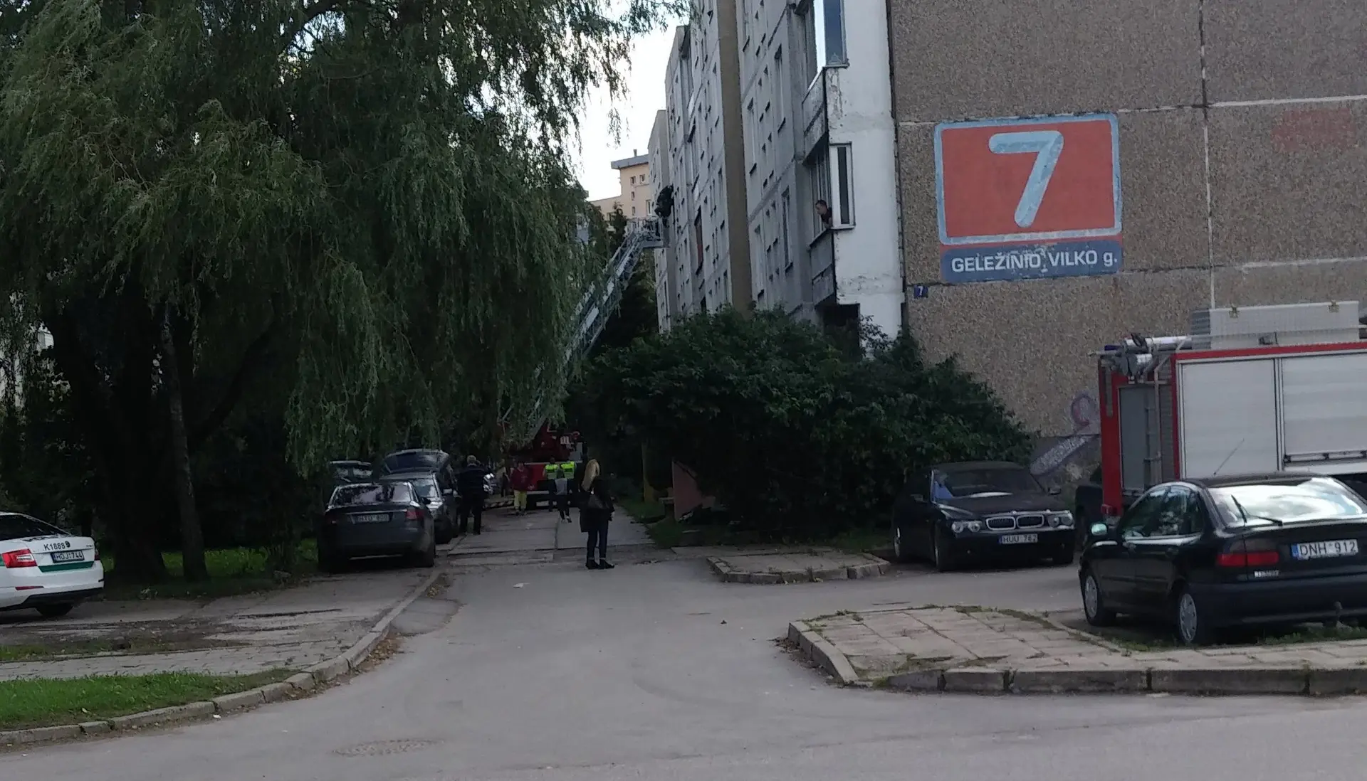 Geležinio vilko gatvė