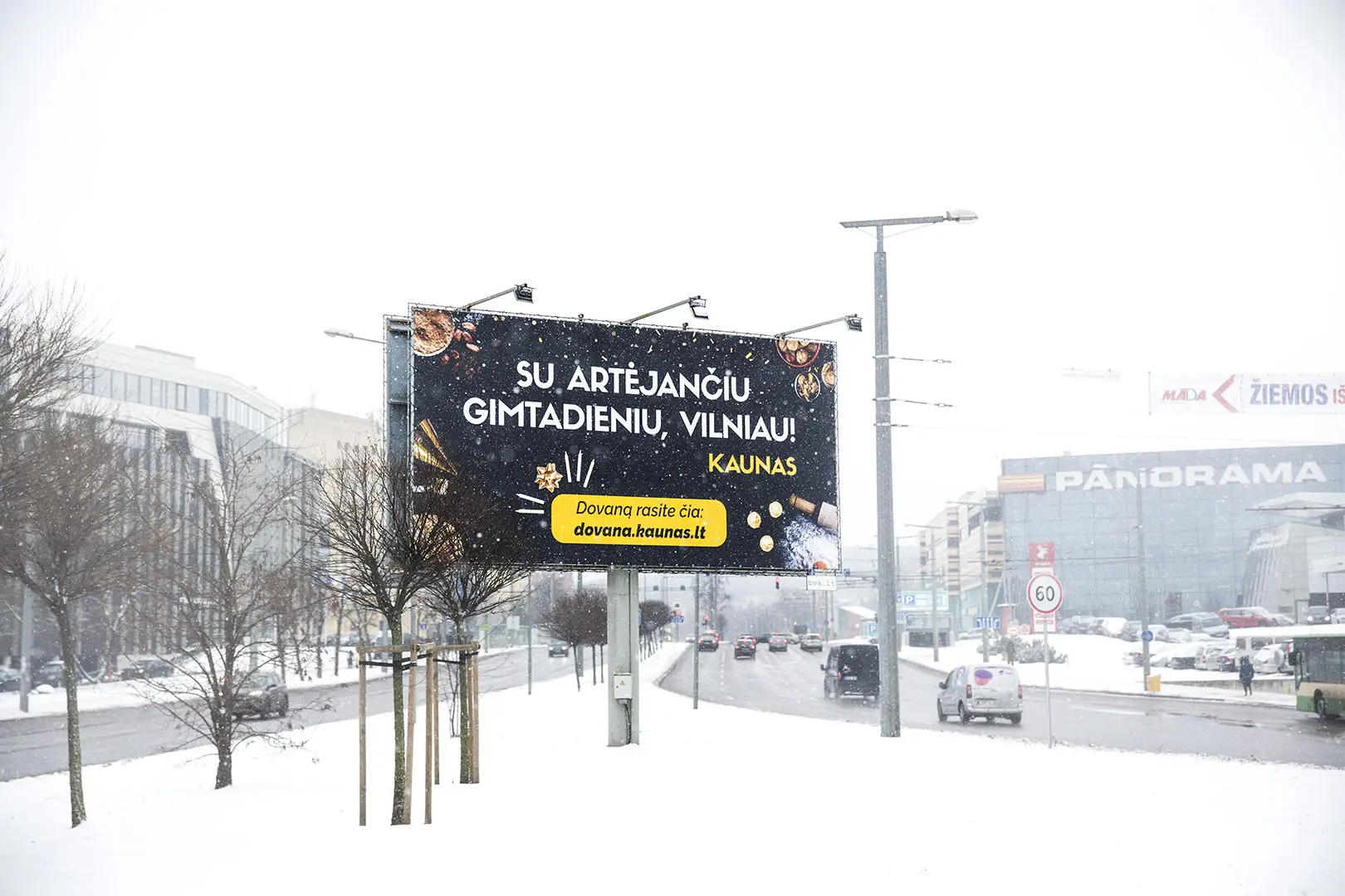 Vilniaus gimtadienis