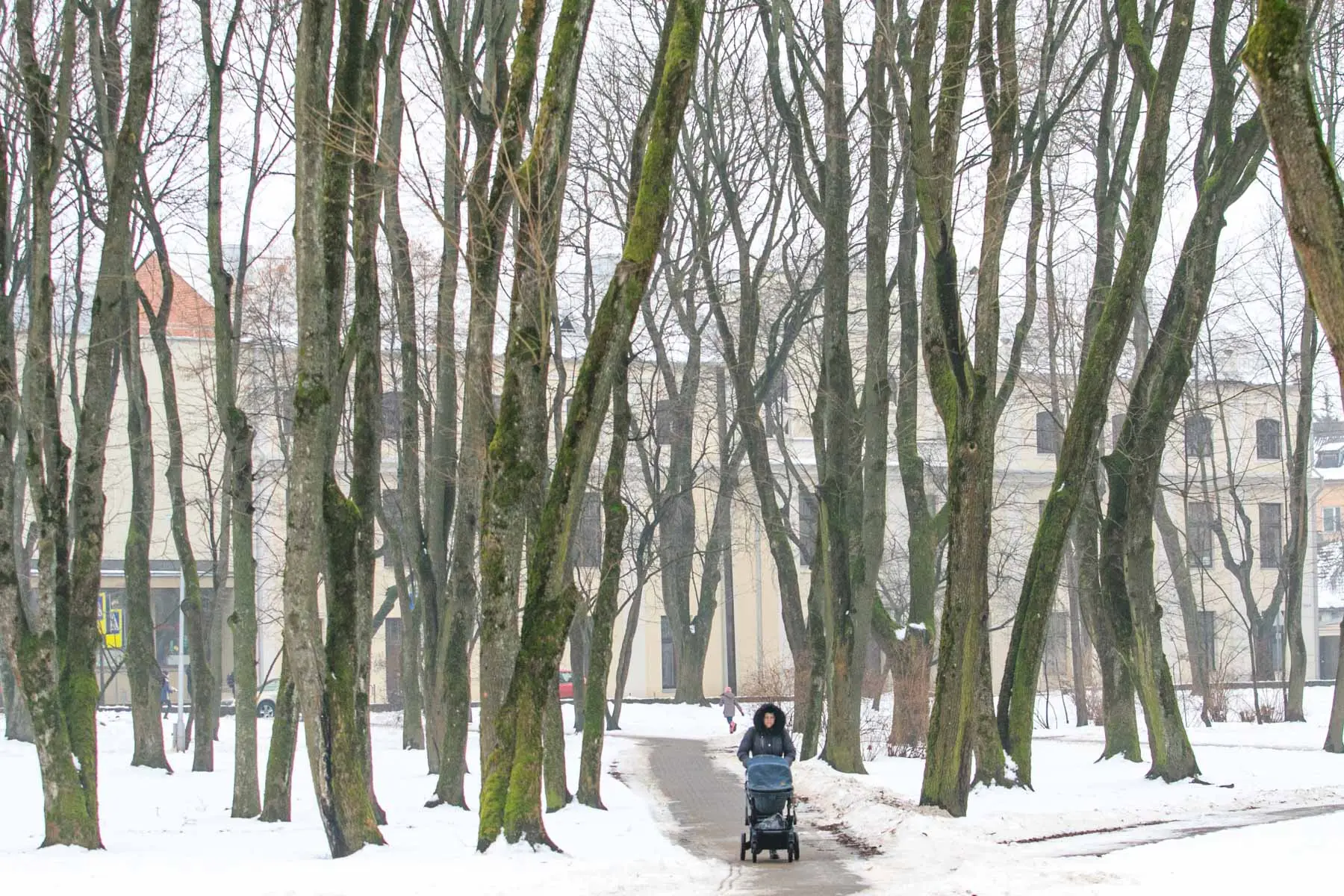 Ramybės parkas