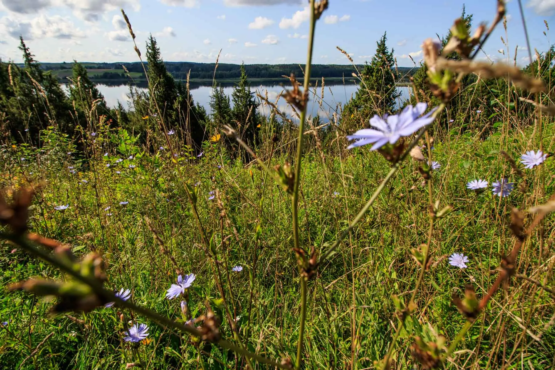 Kadagių slėnis