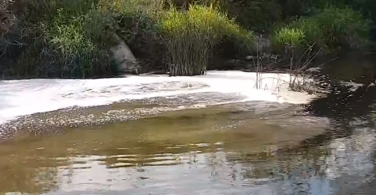 nuotekos Nevėžyje