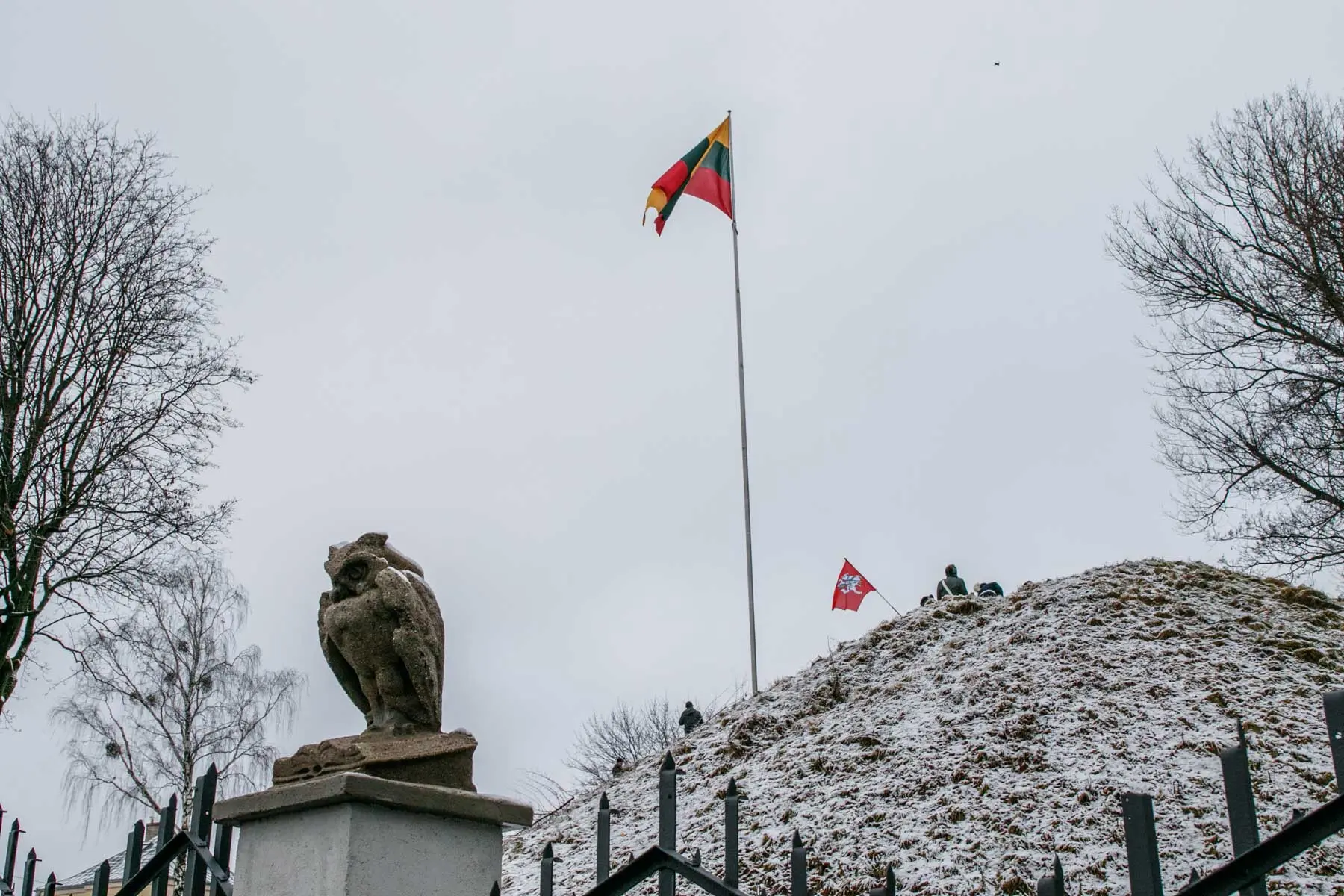 Iškelta Lietuvos vėliava ant Pelėdų kalno